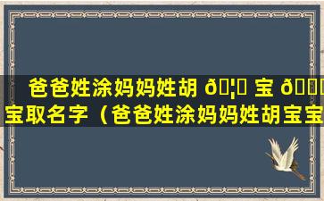 爸爸姓涂妈妈姓胡 🦋 宝 🐝 宝取名字（爸爸姓涂妈妈姓胡宝宝取名字叫什么）